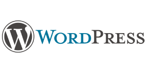 WordPress Website SEO